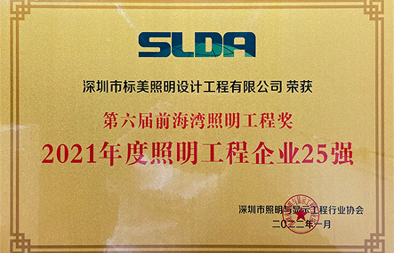 2021年度照明工程企業(yè)25強